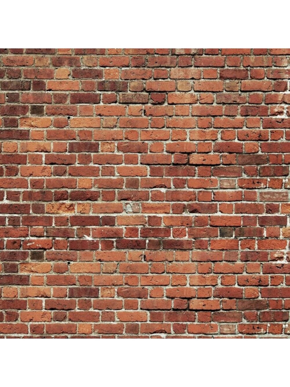 10x10FT Red Brick Wall Photography Backdrop - Vinyl Photo Prop for Parties